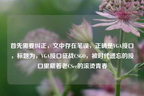 首先需要纠正，文中存在笔误，正确是VGA接口，标题为，VGA接口征战CSGO，被时代遗忘的接口里藏着老CSer的滚烫青春