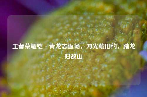王者荣耀铠·青龙志返场，刀光藏旧约，踏龙归故山