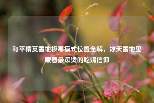 和平精英雪地极寒模式位置全解，冰天雪地里藏着最滚烫的吃鸡信仰