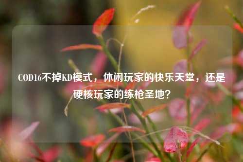 COD16不掉KD模式，休闲玩家的快乐天堂，还是硬核玩家的练枪圣地？