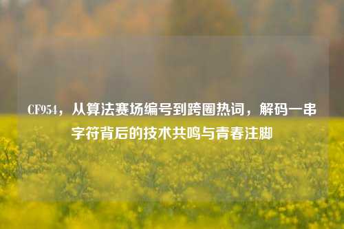 CF954，从算法赛场编号到跨圈热词，解码一串字符背后的技术共鸣与青春注脚