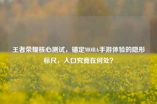 王者荣耀核心测试，锚定MOBA手游体验的隐形标尺，入口究竟在何处？