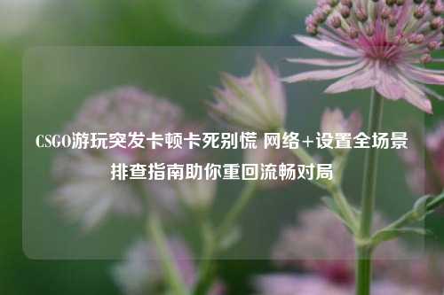 CSGO游玩突发卡顿卡死别慌 网络+设置全场景排查指南助你重回流畅对局