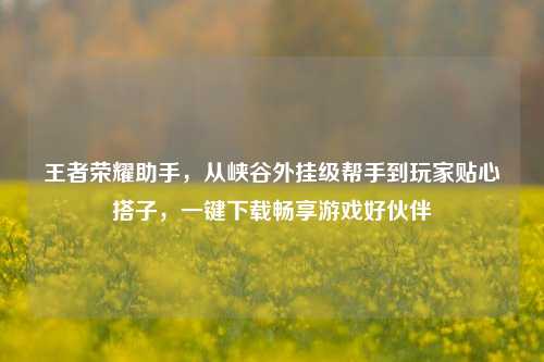 王者荣耀助手，从峡谷外挂级帮手到玩家贴心搭子，一键下载畅享游戏好伙伴