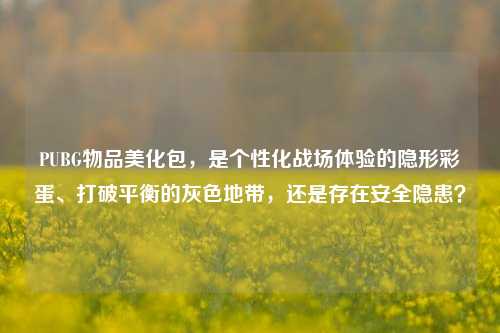 PUBG物品美化包，是个性化战场体验的隐形彩蛋、打破平衡的灰色地带，还是存在安全隐患？