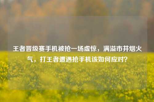 王者晋级赛手机被抢一场虚惊,满溢市井烟火气,打王者遭遇抢手机该如何应对?