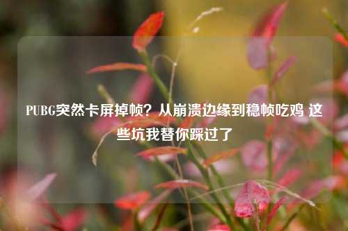 PUBG突然卡屏掉帧？从崩溃边缘到稳帧吃鸡 这些坑我替你踩过了