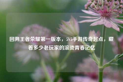 回溯王者荣耀第一版本,5V5手游传奇起点,藏着多少老玩家的滚烫青春记忆