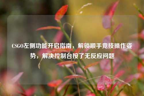 CSGO左侧功能开启指南,解锁顺手竞技操作姿势,解决控制台按了无反应问题