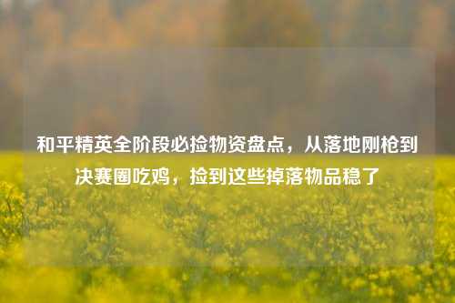 和平精英全阶段必捡物资盘点，从落地刚枪到决赛圈吃鸡，捡到这些掉落物品稳了