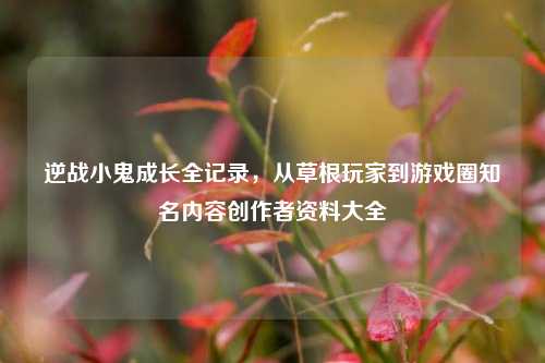 逆战小鬼成长全记录，从草根玩家到游戏圈知名内容创作者资料大全