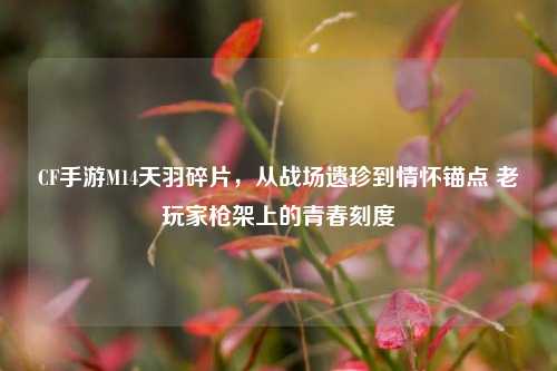CF手游M14天羽碎片,从战场遗珍到情怀锚点 老玩家枪架上的青春刻度