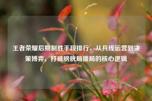 王者荣耀后期制胜手段排行,从兵线运营到决策博弈,打破膀胱局僵局的核心逻辑