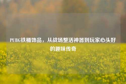 PUBG铁桶饰品，从战场整活神器到玩家心头好的趣味传奇