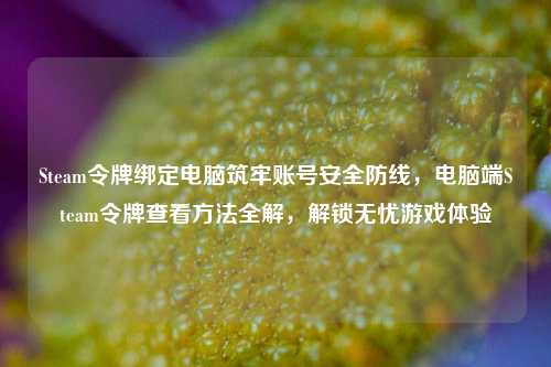 Steam令牌绑定电脑筑牢账号安全防线，电脑端Steam令牌查看方法全解，解锁无忧游戏体验