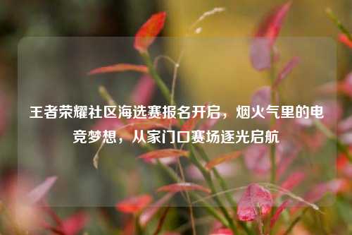 王者荣耀社区海选赛报名开启,烟火气里的电竞梦想,从家门口赛场逐光启航