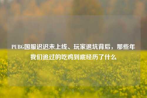 PUBG国服迟迟未上线、玩家退坑背后,那些年我们追过的吃鸡到底经历了什么