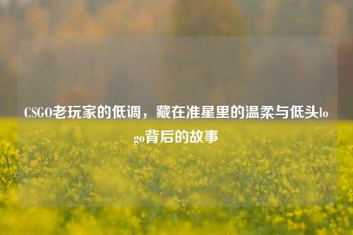 CSGO老玩家的低调,藏在准星里的温柔与低头logo背后的故事