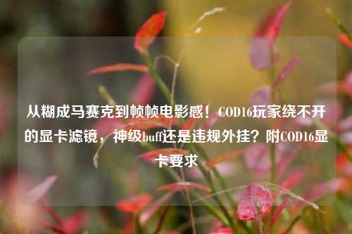 从糊成马赛克到帧帧电影感!COD16玩家绕不开的显卡滤镜,神级buff还是违规外挂?附COD16显卡要求