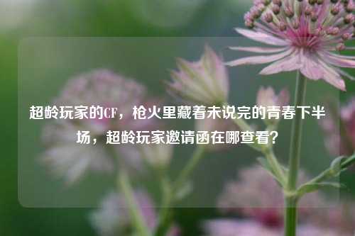 超龄玩家的CF,枪火里藏着未说完的青春下半场,超龄玩家邀请函在哪查看?