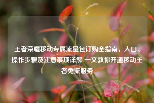 王者荣耀移动专属流量包订购全指南,入口、操作步骤及注意事项详解 一文教你开通移动王者免流服务