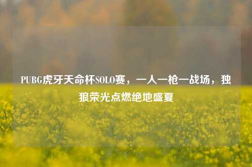 PUBG虎牙天命杯SOLO赛，一人一枪一战场，独狼荣光点燃绝地盛夏
