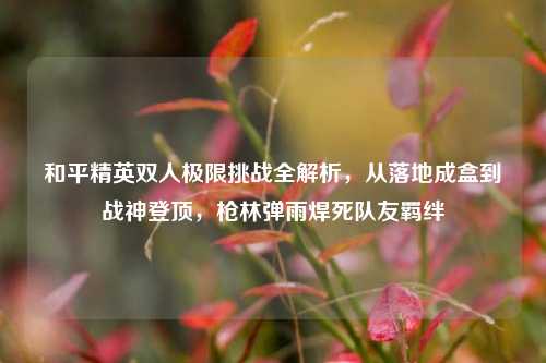 和平精英双人极限挑战全解析,从落地成盒到战神登顶,枪林弹雨焊死队友羁绊