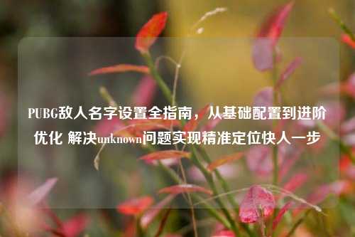 PUBG敌人名字设置全指南，从基础配置到进阶优化 解决unknown问题实现精准定位快人一步