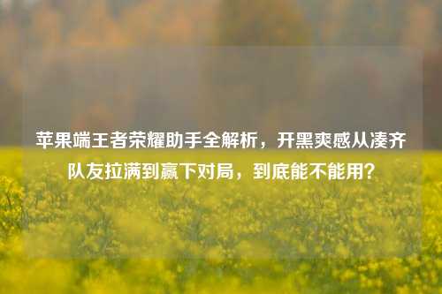苹果端王者荣耀助手全解析,开黑爽感从凑齐队友拉满到赢下对局,到底能不能用?