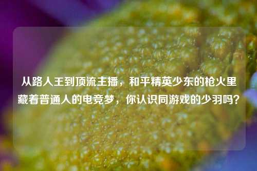 从路人王到顶流主播，和平精英少东的枪火里藏着普通人的电竞梦，你认识同游戏的少羽吗？