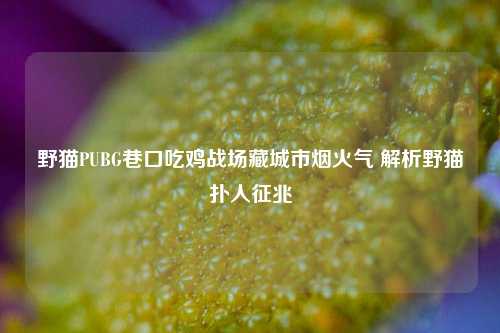 野猫PUBG巷口吃鸡战场藏城市烟火气 解析野猫扑人征兆
