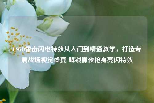 CSGO雷击闪电特效从入门到精通教学,打造专属战场视觉盛宴 解锁黑夜枪身亮闪特效