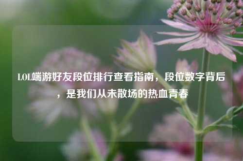 LOL端游好友段位排行查看指南,段位数字背后,是我们从未散场的热血青春