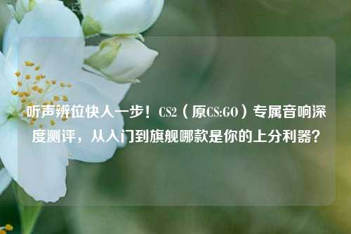 听声辨位快人一步!CS2(原CS:GO)专属音响深度测评,从入门到旗舰哪款是你的上分利器?