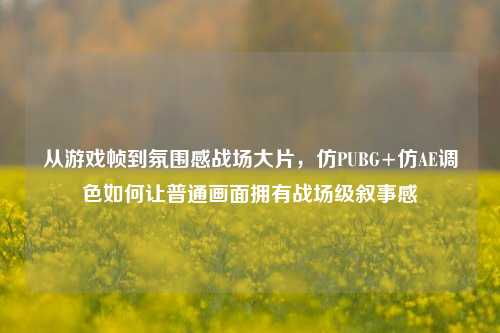 从游戏帧到氛围感战场大片,仿PUBG+仿AE调色如何让普通画面拥有战场级叙事感