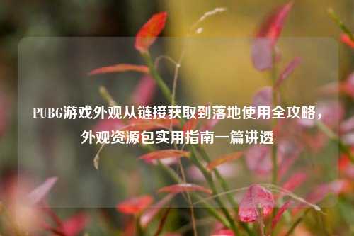 PUBG游戏外观从链接获取到落地使用全攻略，外观资源包实用指南一篇讲透