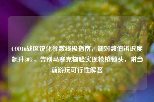 COD16战区锐化参数终极指南，调对数值辨识度飙升30%，告别马赛克糊脸实现枪枪锁头，附当前游玩可行性解答