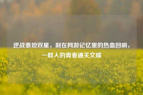 逆战泰坦双星,刻在网游记忆里的热血回响,一群人的青春通关文牒