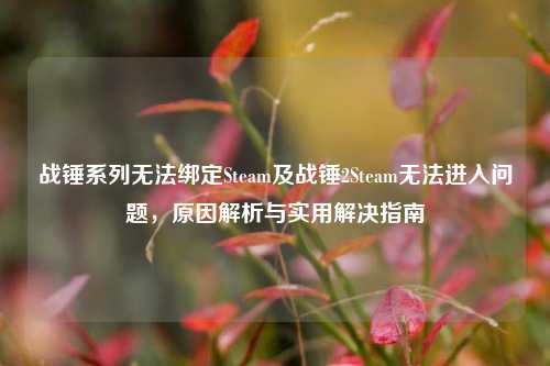 战锤系列无法绑定Steam及战锤2Steam无法进入问题，原因解析与实用解决指南
