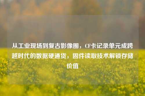 从工业现场到复古影像圈,CF卡记录单元成跨越时代的数据硬通货,固件读取技术解锁存储价值