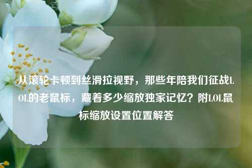 从滚轮卡顿到丝滑拉视野，那些年陪我们征战LOL的老鼠标，藏着多少缩放独家记忆？附LOL鼠标缩放设置位置解答