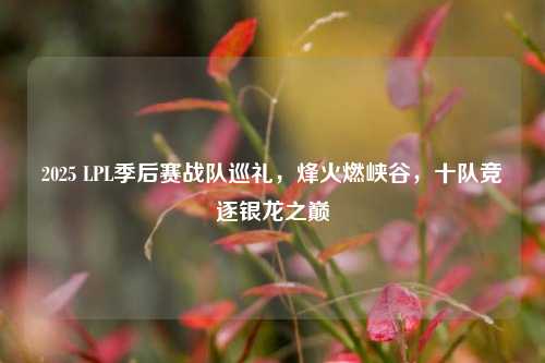 2025 LPL季后赛战队巡礼,烽火燃峡谷,十队竞逐银龙之巅