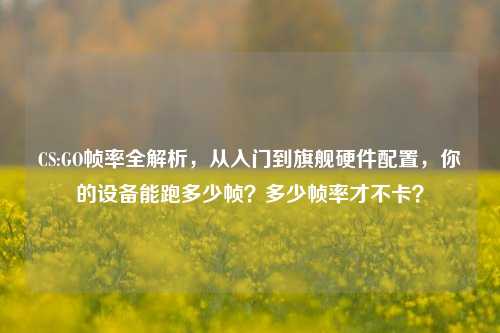 CS:GO帧率全解析,从入门到旗舰硬件配置,你的设备能跑多少帧?多少帧率才不卡?