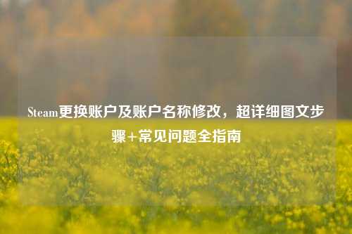 Steam更换账户及账户名称修改,超详细图文步骤+常见问题全指南