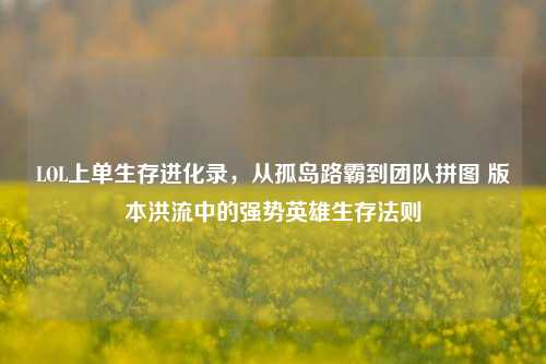 LOL上单生存进化录，从孤岛路霸到团队拼图 版本洪流中的强势英雄生存法则