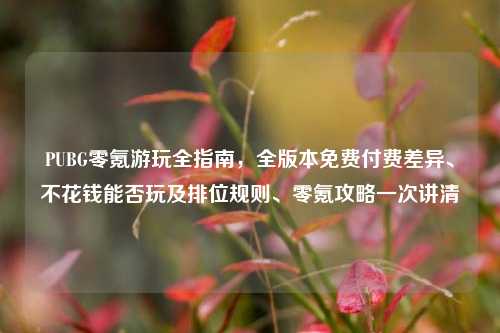 PUBG零氪游玩全指南,全版本免费付费差异、不花钱能否玩及排位规则、零氪攻略一次讲清