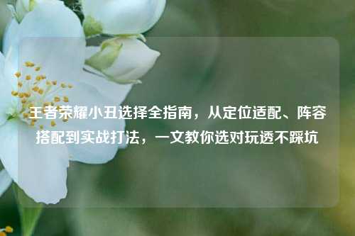 王者荣耀小丑选择全指南,从定位适配、阵容搭配到实战打法,一文教你选对玩透不踩坑
