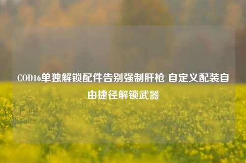 COD16单独解锁配件告别强制肝枪 自定义配装自由捷径解锁武器