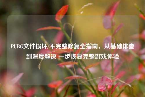 PUBG文件损坏/不完整修复全指南，从基础排查到深度解决 一步恢复完整游戏体验