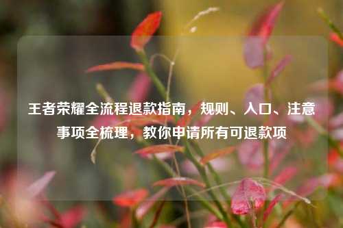 王者荣耀全流程退款指南,规则、入口、注意事项全梳理,教你申请所有可退款项